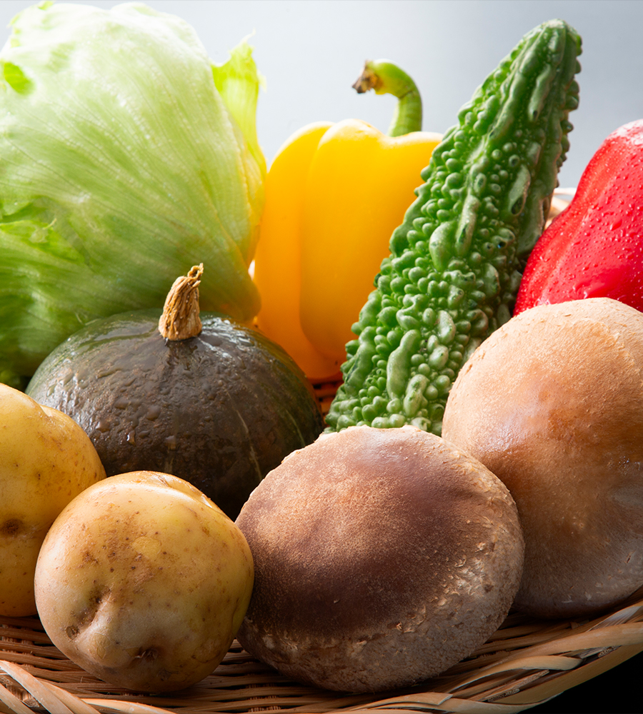 季節の新鮮なお野菜